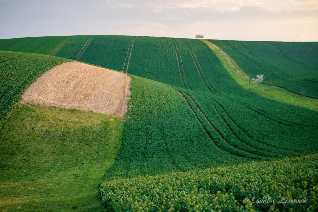 večern&iacute; v&yacute;hled od &Scaron;ardick&eacute;ho rem&iacute;zku
