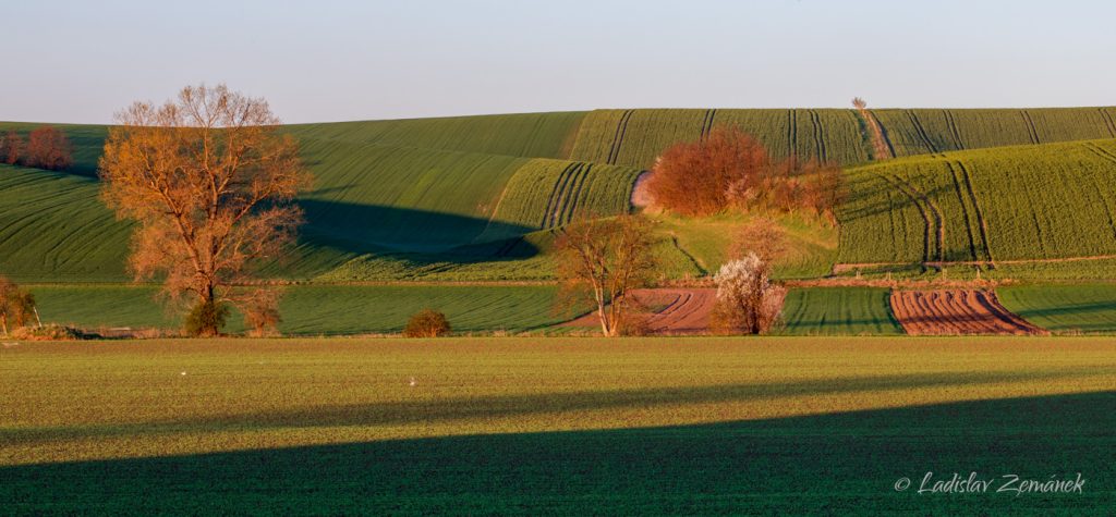 Moravsk&eacute; Tosk&aacute;nsko - &Scaron;ardick&yacute; rem&iacute;zek