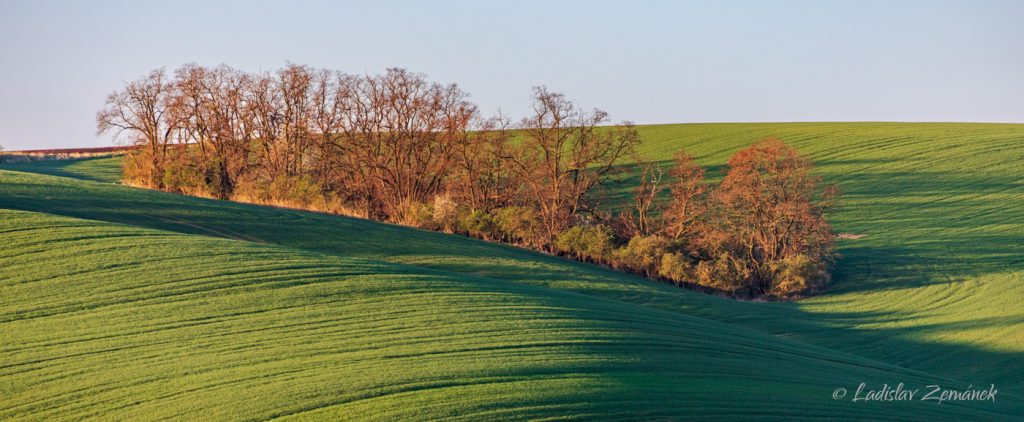 zvlněn&aacute; krajina z vyhl&iacute;dky nad &Scaron;ardicemi
