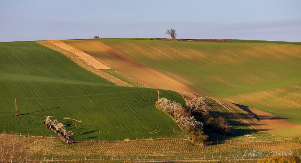 Moravsk&eacute; Tosk&aacute;nsko - zvlněn&aacute; krajina z vyhl&iacute;dky nad &Scaron;ardicemi