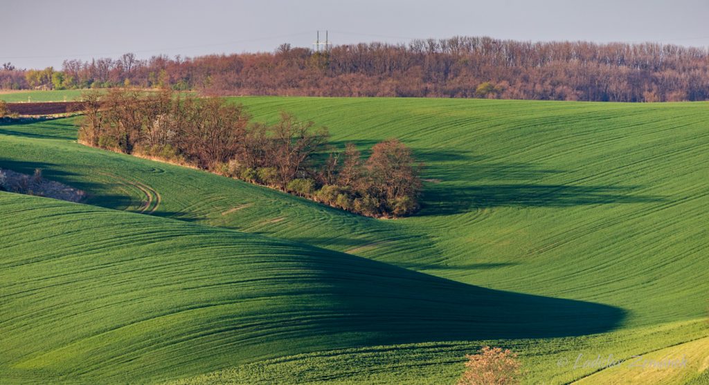 zvlněn&aacute; krajina z vyhl&iacute;dky nad &Scaron;ardicemi