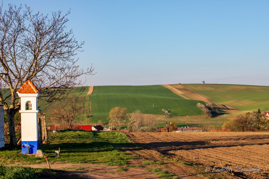 Moravsk&eacute; Tosk&aacute;nsko - &Scaron;ardice