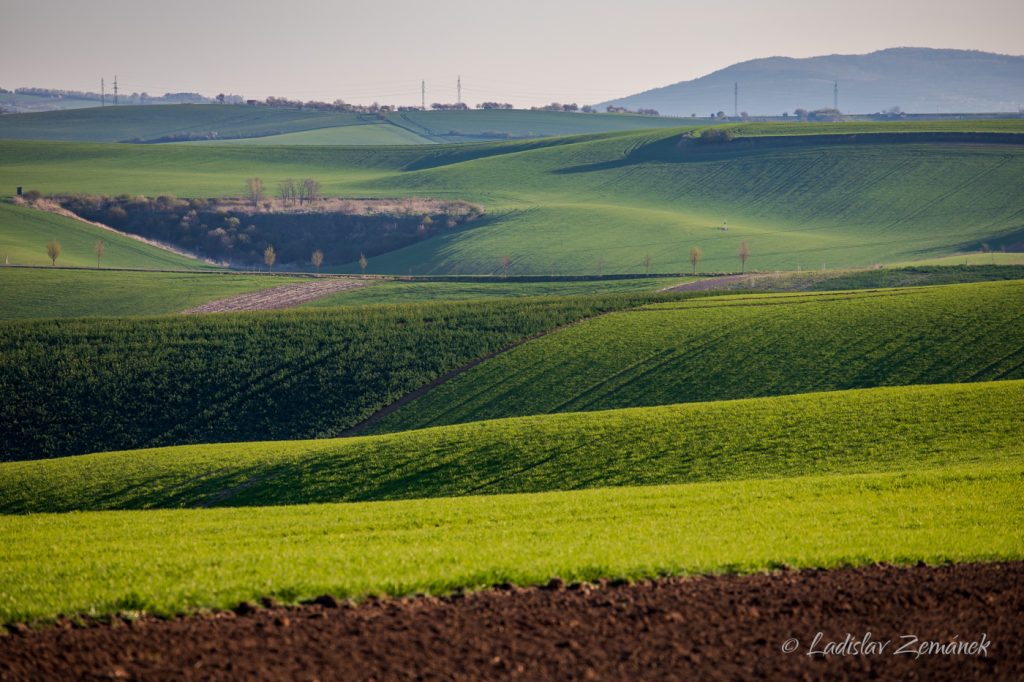 Moravsk&eacute; Tosk&aacute;nsko - zvlněn&aacute; krajina z vyhl&iacute;dky nad &Scaron;ardicemi