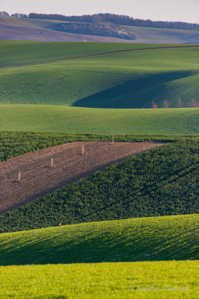 Moravsk&eacute; Tosk&aacute;nsko - zvlněn&aacute; krajina z vyhl&iacute;dky nad &Scaron;ardicemi