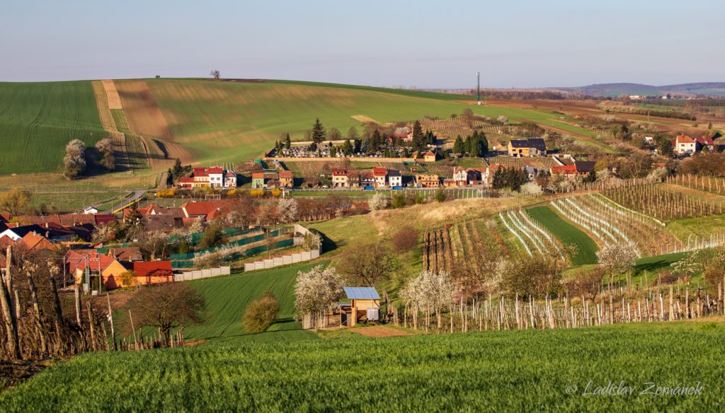 Moravsk&eacute; Tosk&aacute;nsko - &Scaron;ardice
