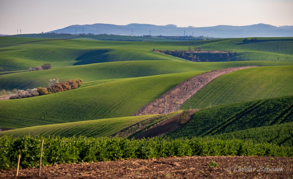 Moravsk&eacute; Tosk&aacute;nsko - zvlněn&aacute; krajina z vyhl&iacute;dky nad &Scaron;ardicemi