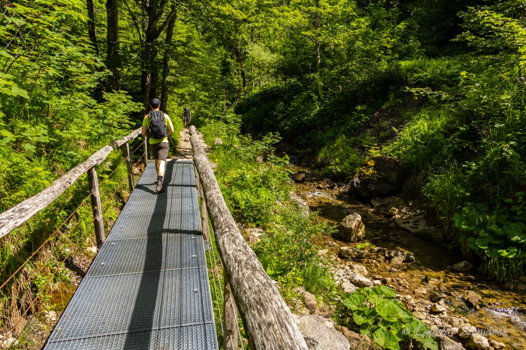 Zač&aacute;tek stoup&aacute;n&iacute; pod&eacute;l potoka Schwarzenbach