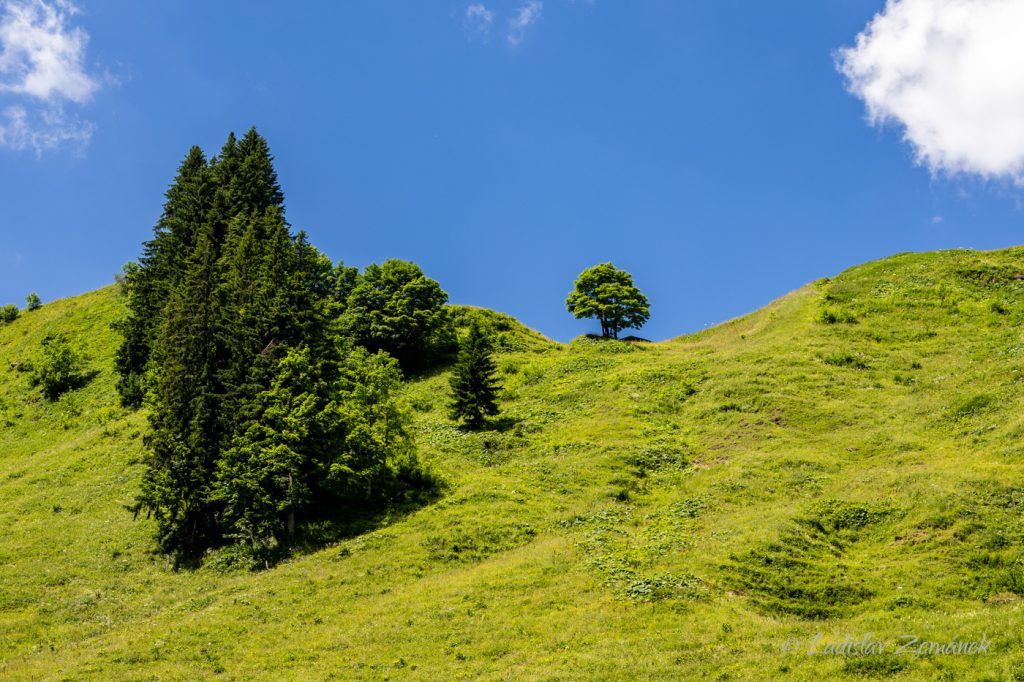 Krajina v okol&iacute; Tegernseer H&uuml;tte