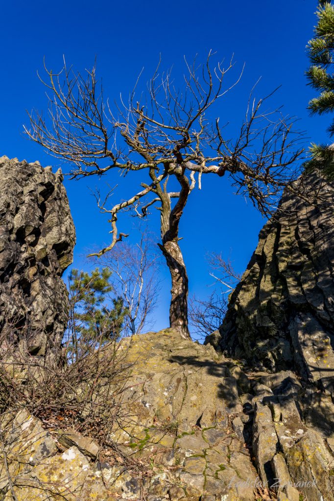 Trojhora Trojhora