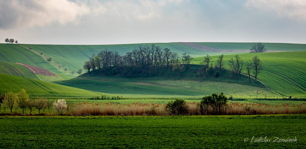 Moravsk&eacute; Tosk&aacute;nsko - &Scaron;ardick&yacute; rem&iacute;zek